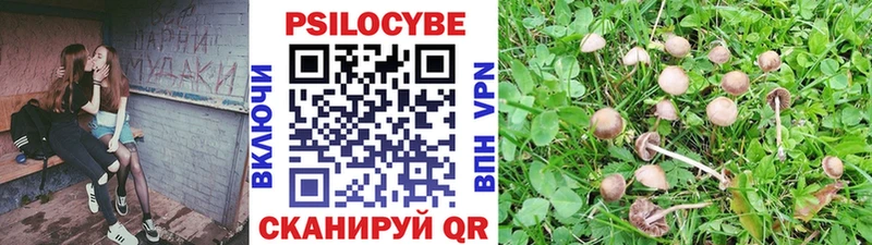 Галлюциногенные грибы MAGIC MUSHROOMS цены наркотик Короча